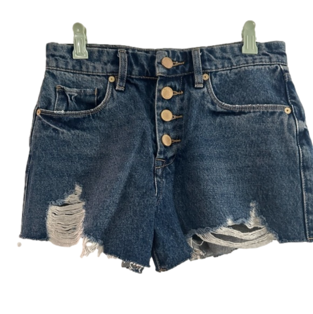 NWT BLANKNYC The Barrow Vintage High Rise Denim Jean Distressed Shorts Sz 25